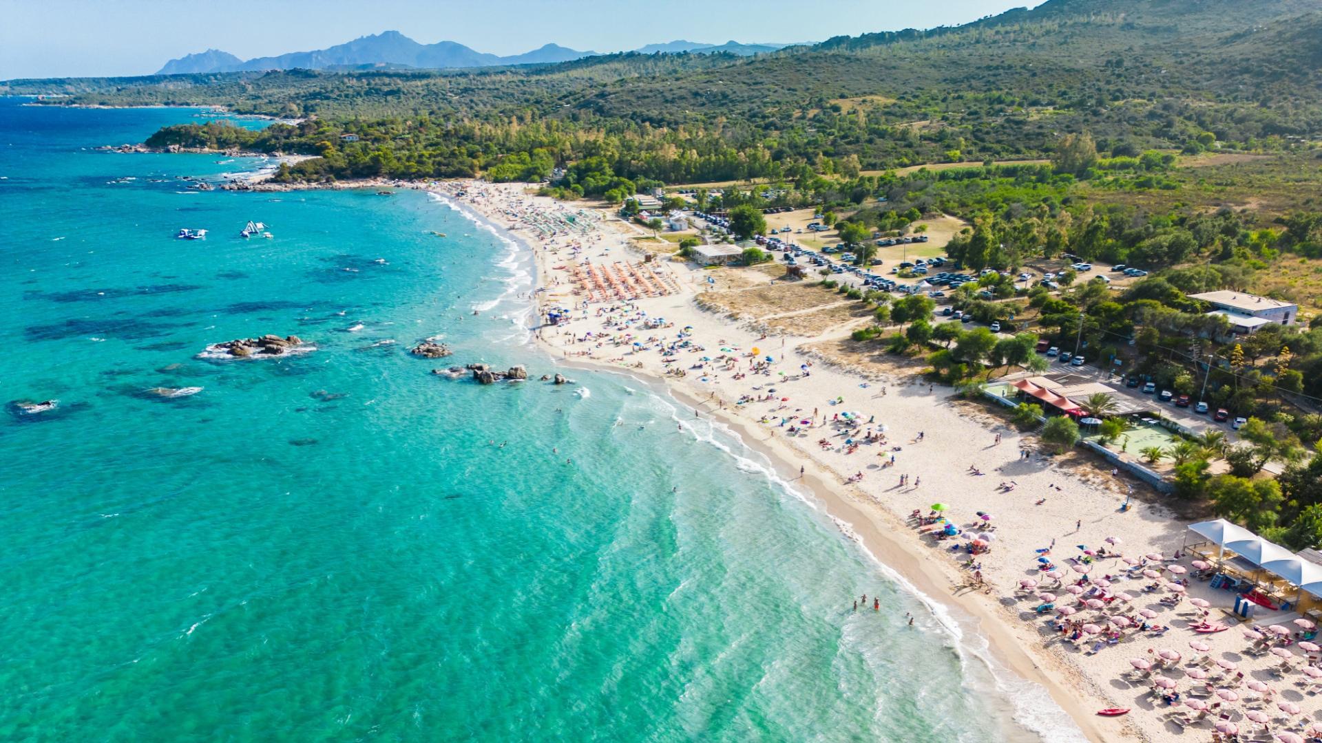 Spiaggia affollata, mare cristallino, sole splendente e natura rigogliosa.
